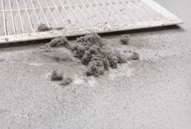 Best Ductwork Cleaning Services  in Pittsville, MD
