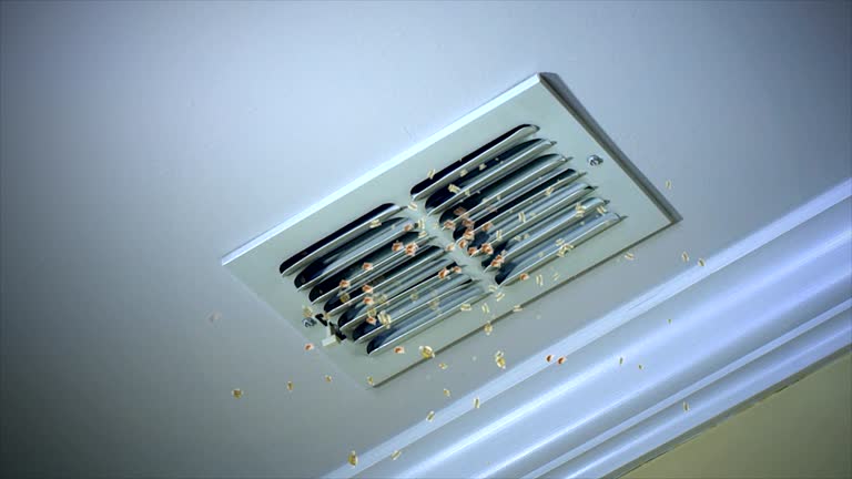Best Professional Duct Cleaning Services  in Pittsville, MD