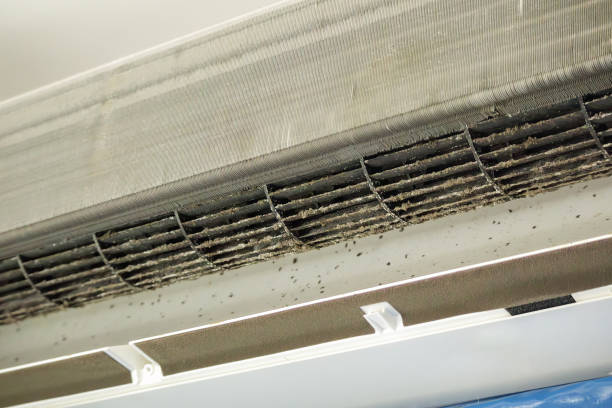 Best Affordable Duct Cleaning Services  in Pittsville, MD