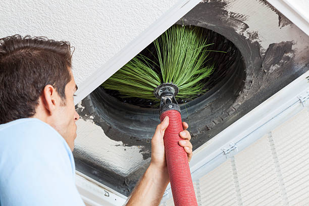Best Home Air Vent Cleaning  in Pittsville, MD